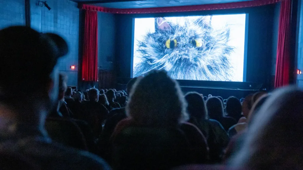 A large monitor features a close-up image of a cat